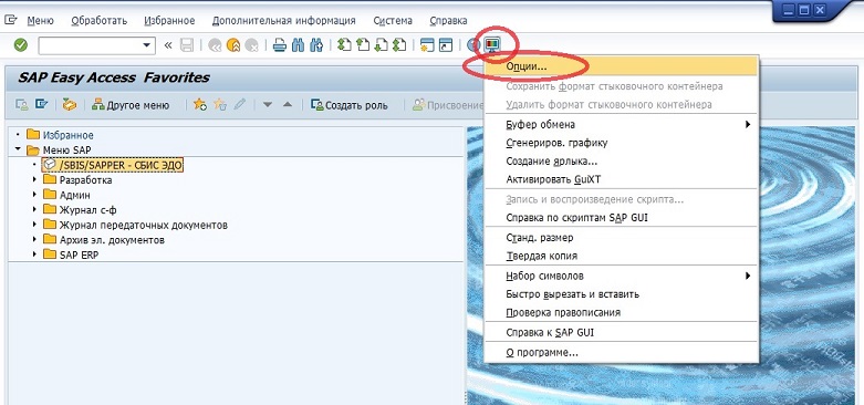 SAP GUI security 013.jpg